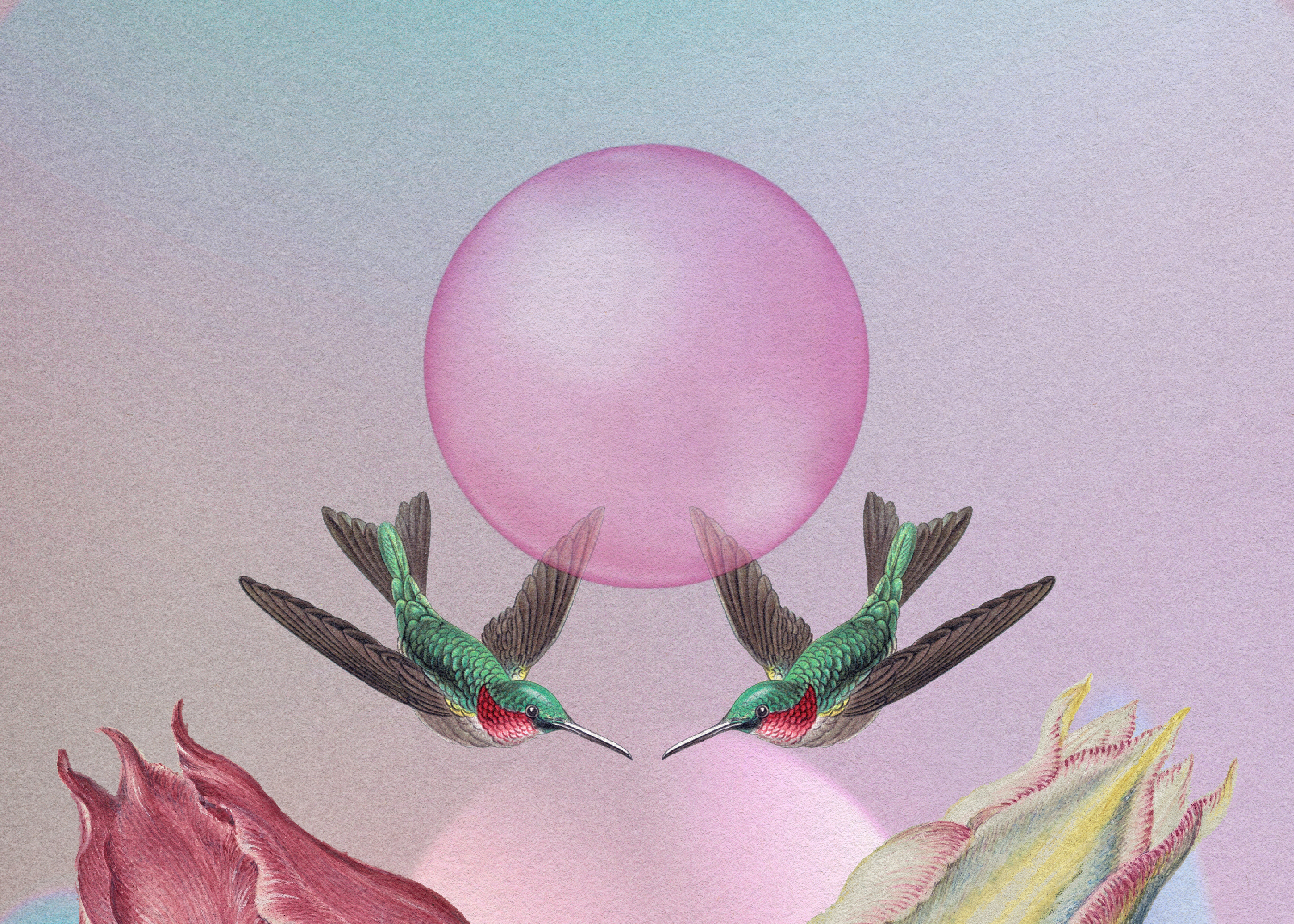 The Unveiled Foundation