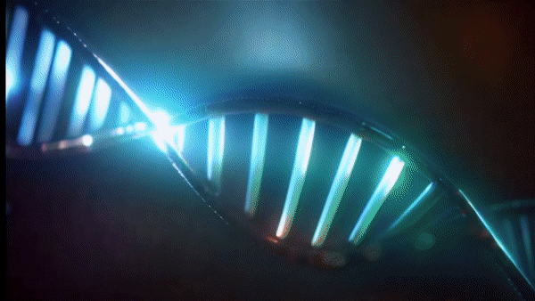 Vision Quest Foundation