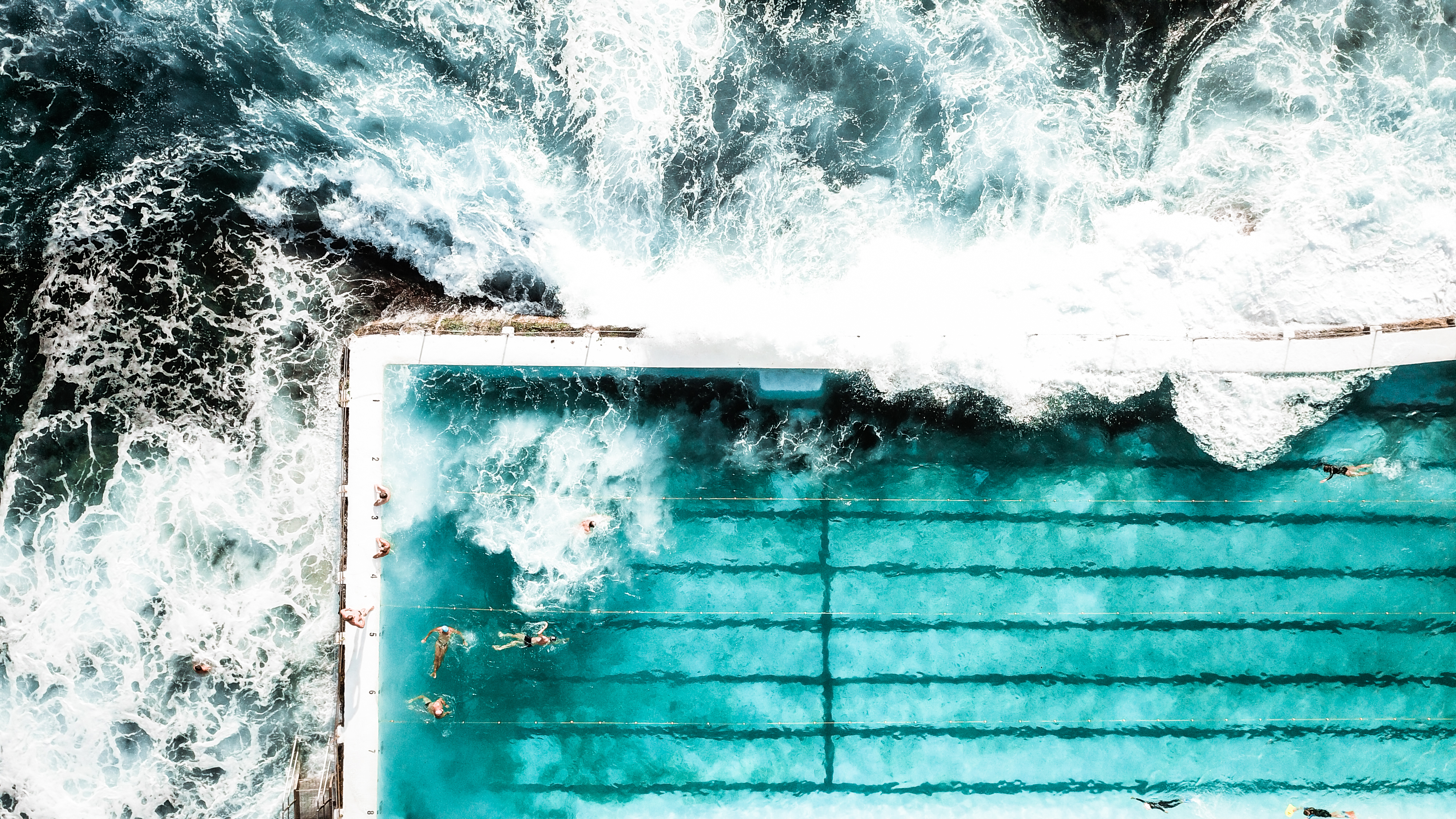 The Bucket Shot Foundation