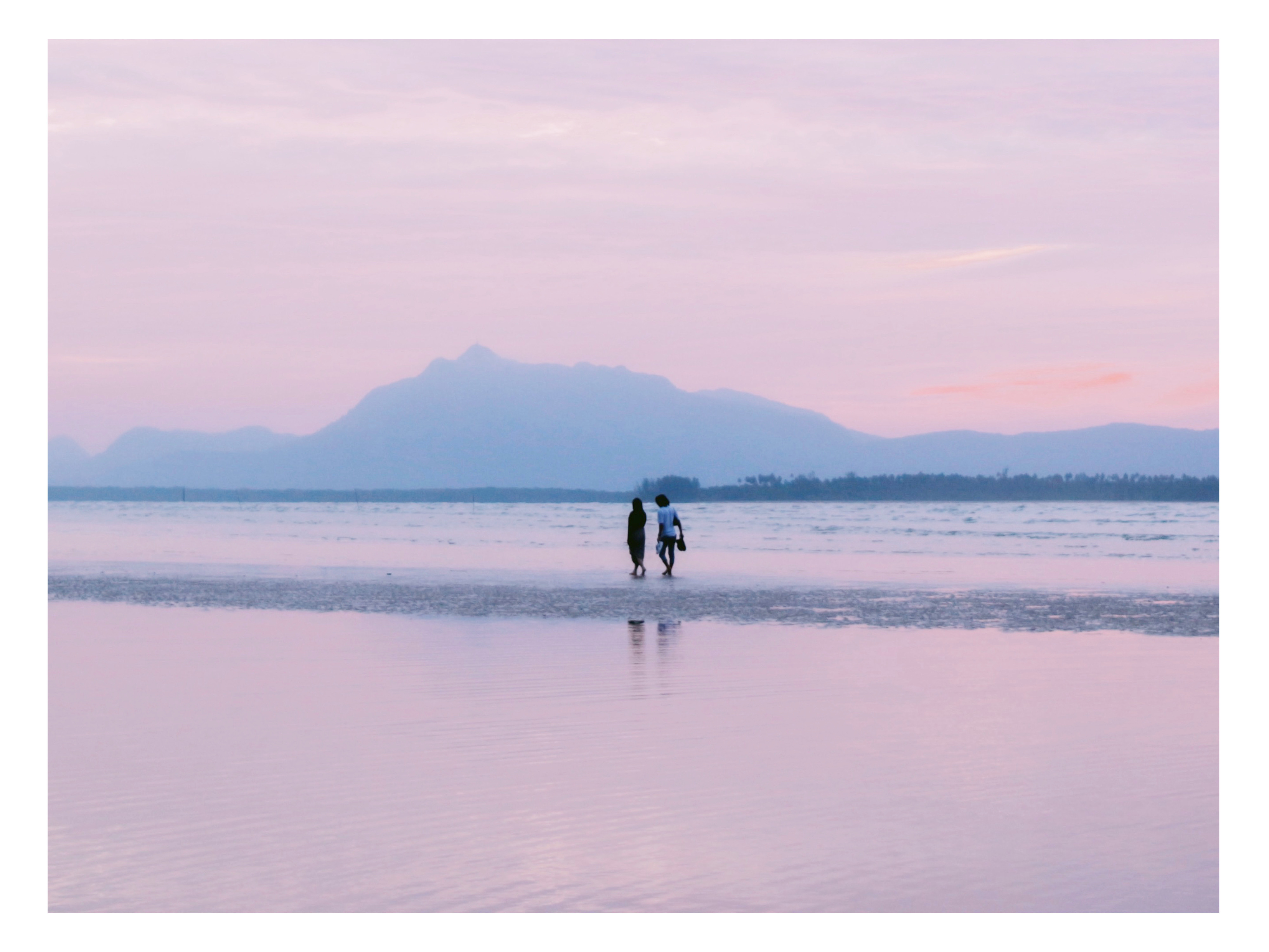 Pastel World Foundation