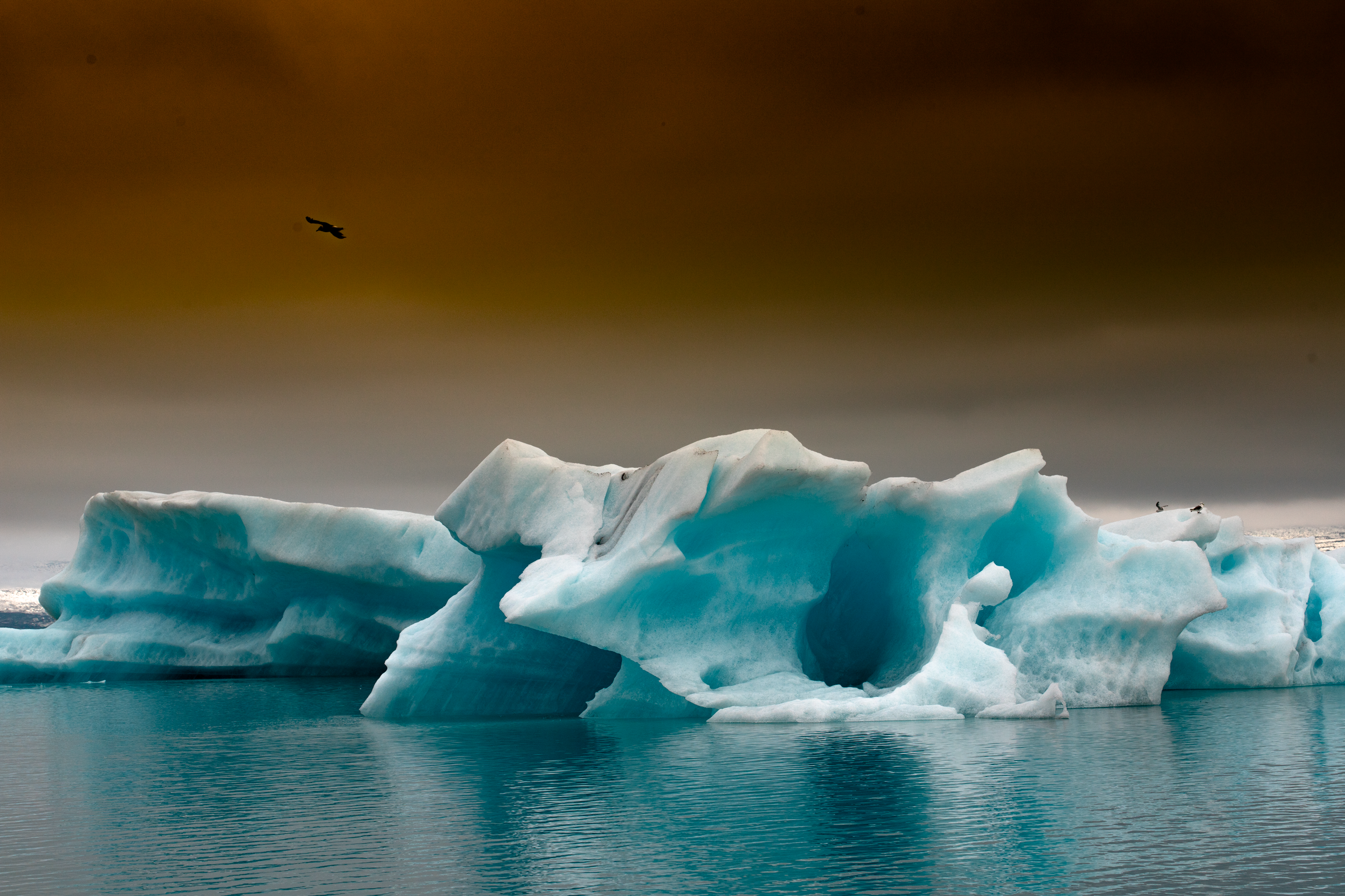 Iceland dream Foundation