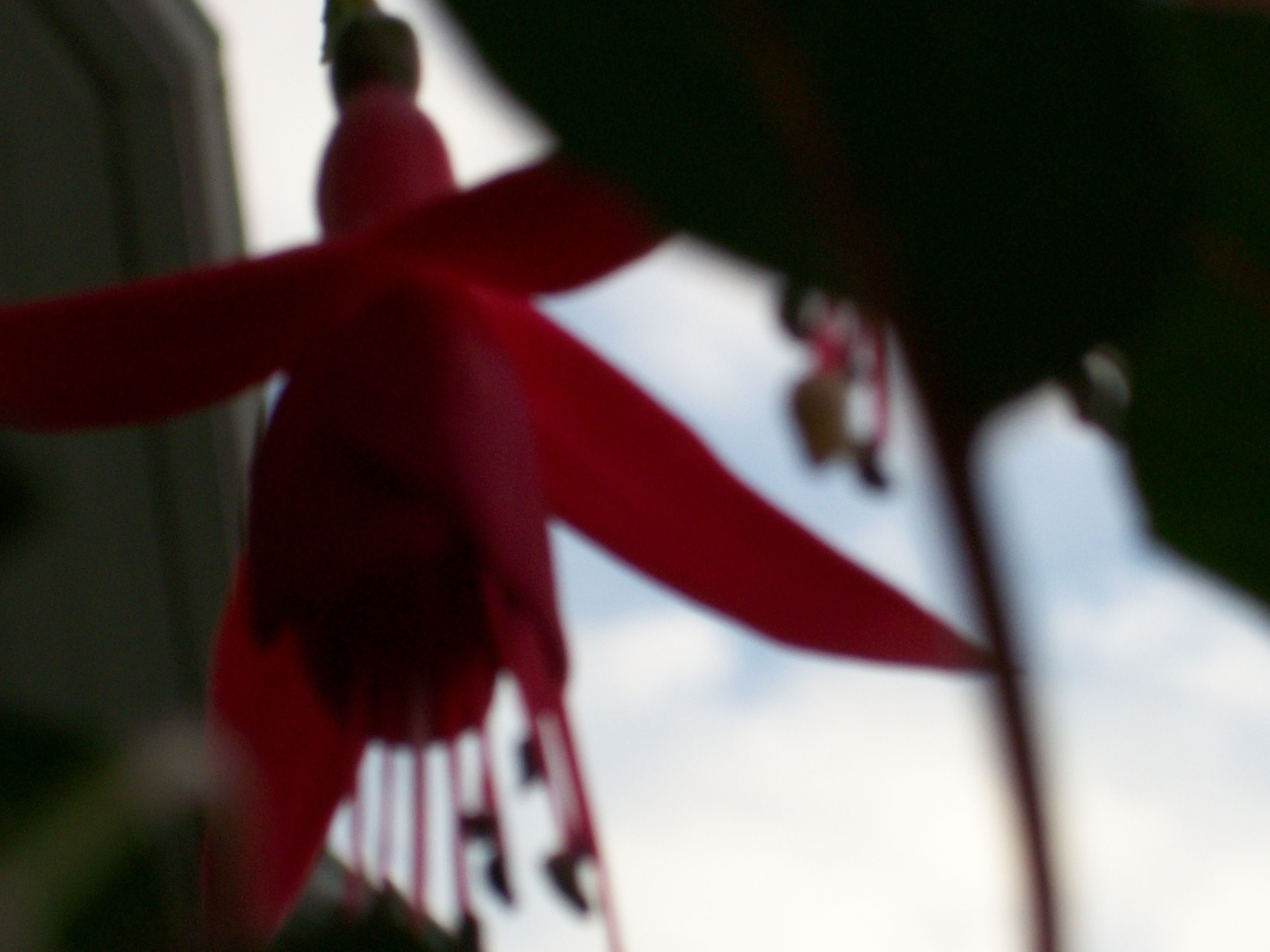 Flower of Memory Foundation