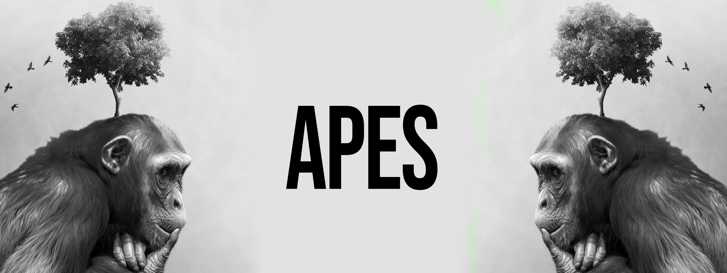 Apes Foundation