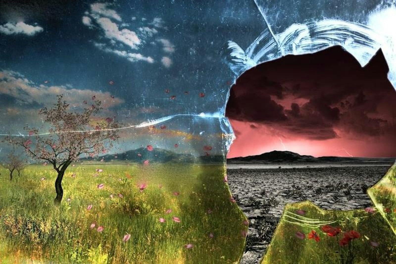 Стекло вдребезги. Сломанная мечта. Разбитые надежды и мечты. Разрушение мечты. Мертвые цветы.