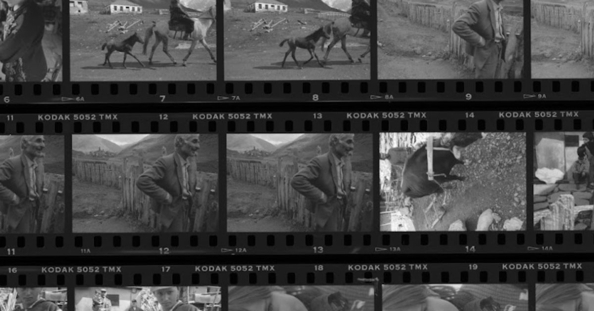 First Film Foundation first-film-foundation