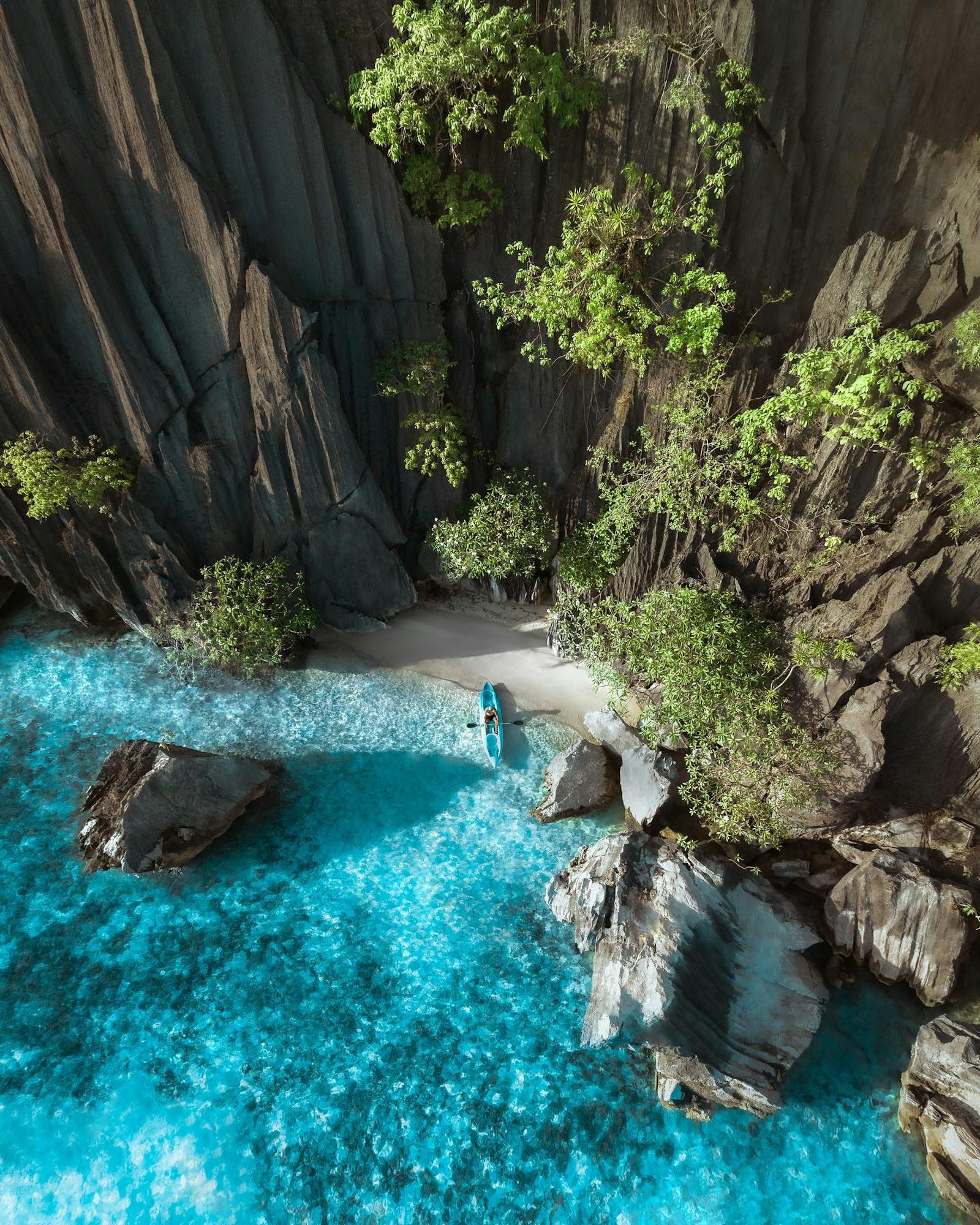 Isle of Paradise Foundation