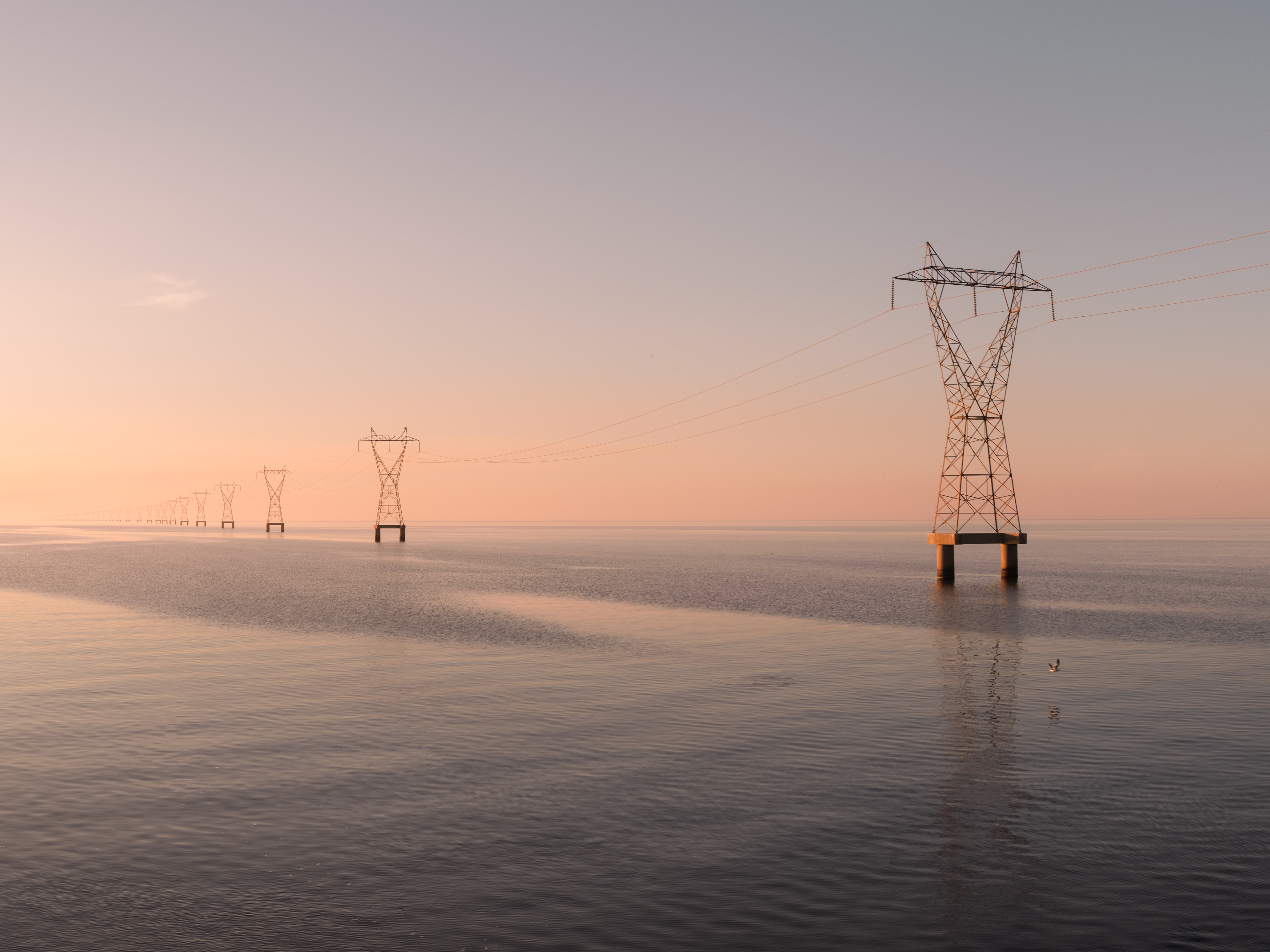 Bayou State Foundation