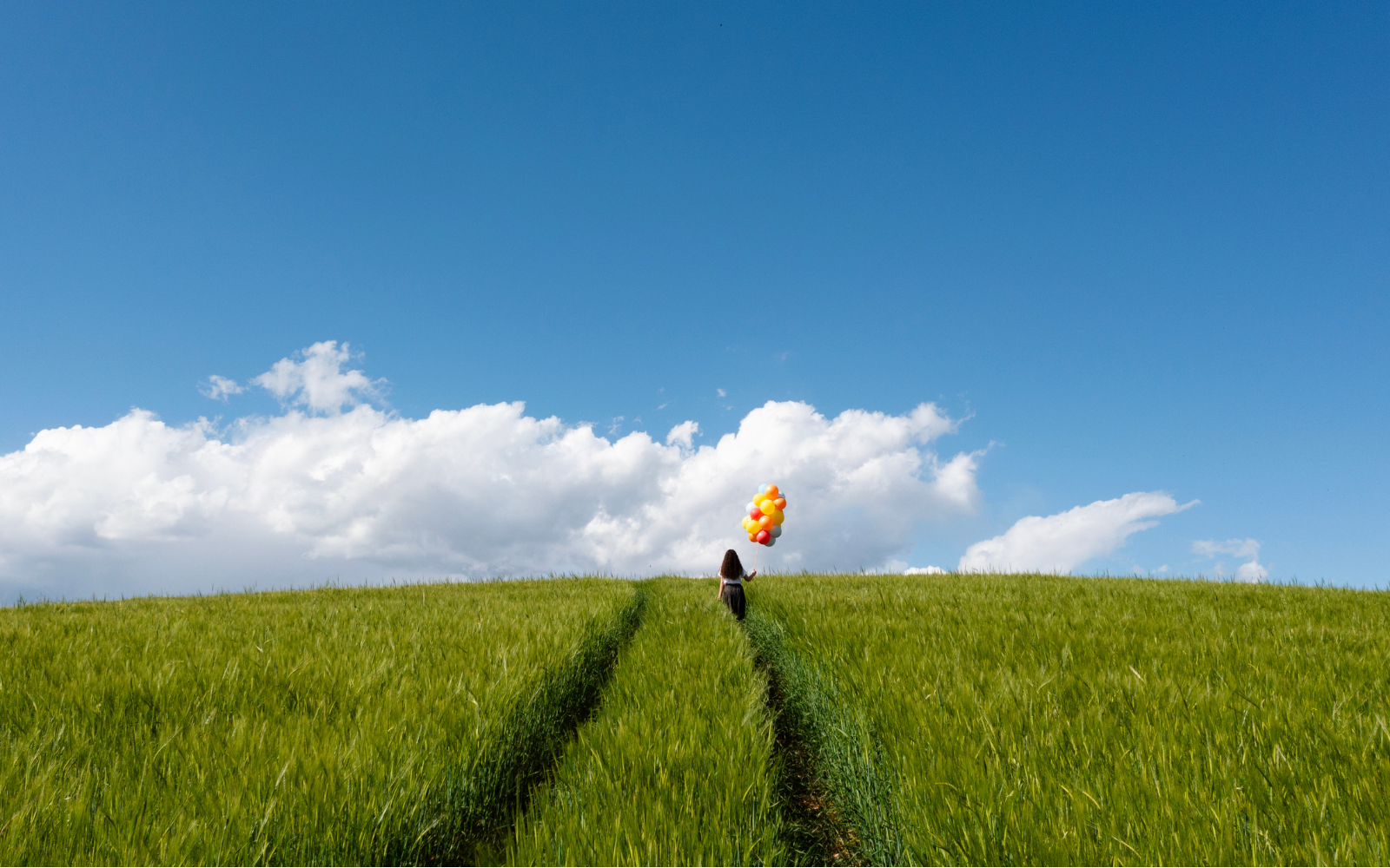 Photograph: Genesis — Part 2