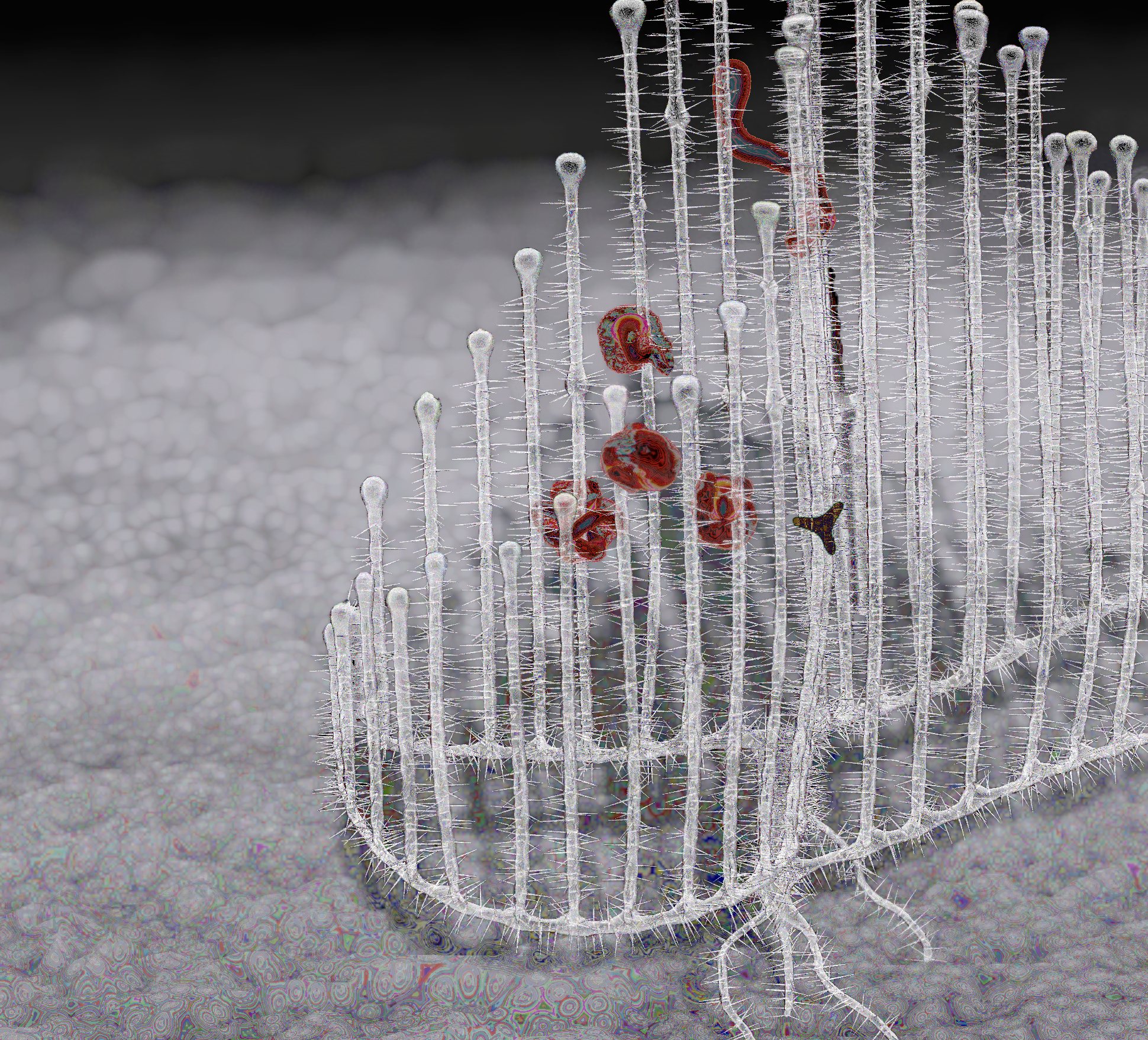 Detail from harpfeeder