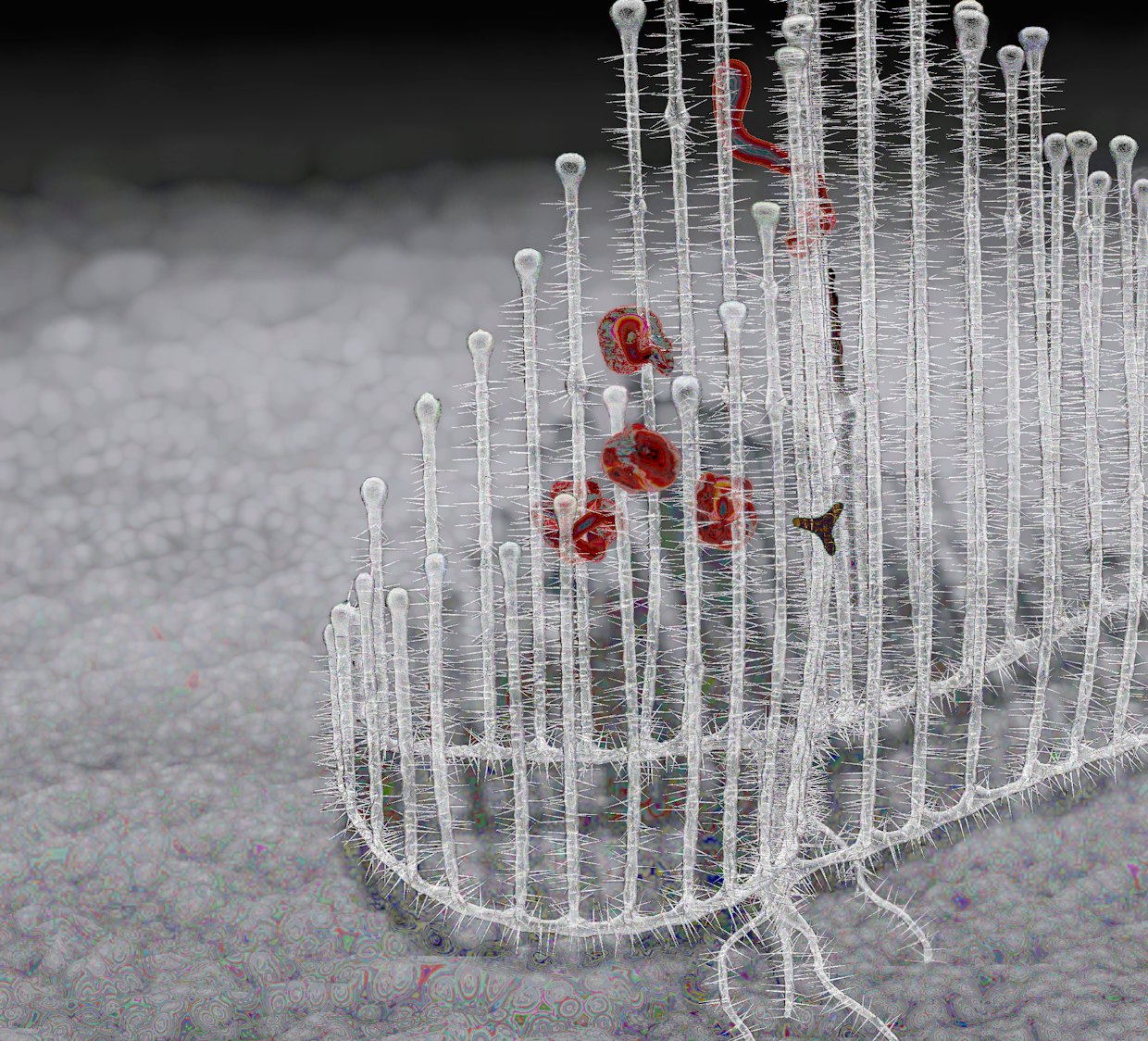 Detail from harpfeeder