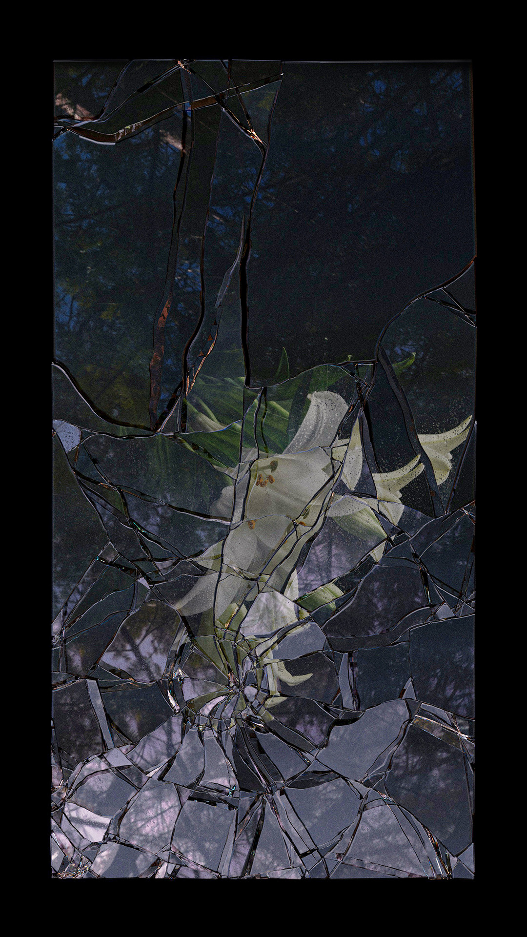 Anthem #2. Edition of 10. Still image in 4k