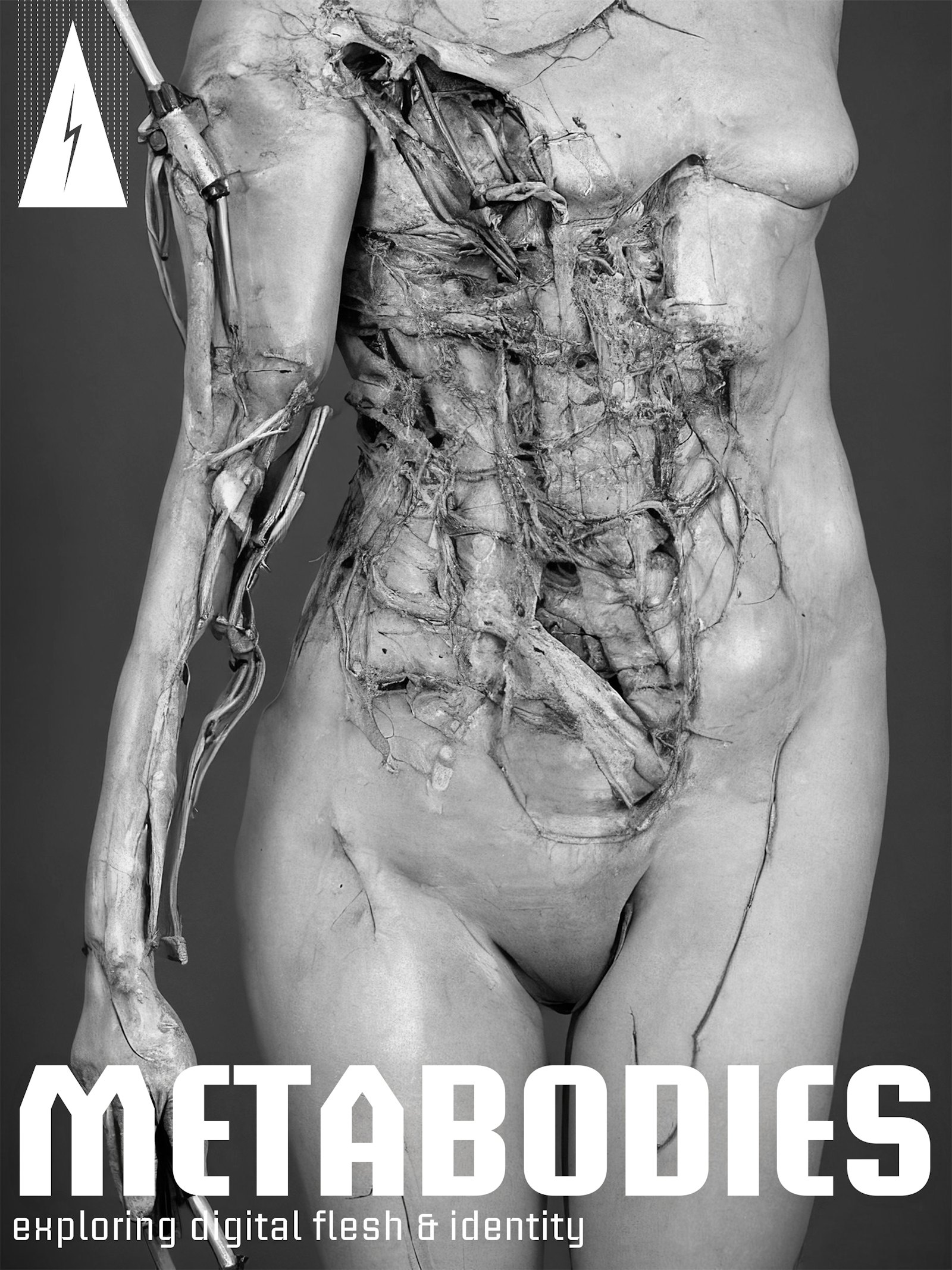 Metabodies
