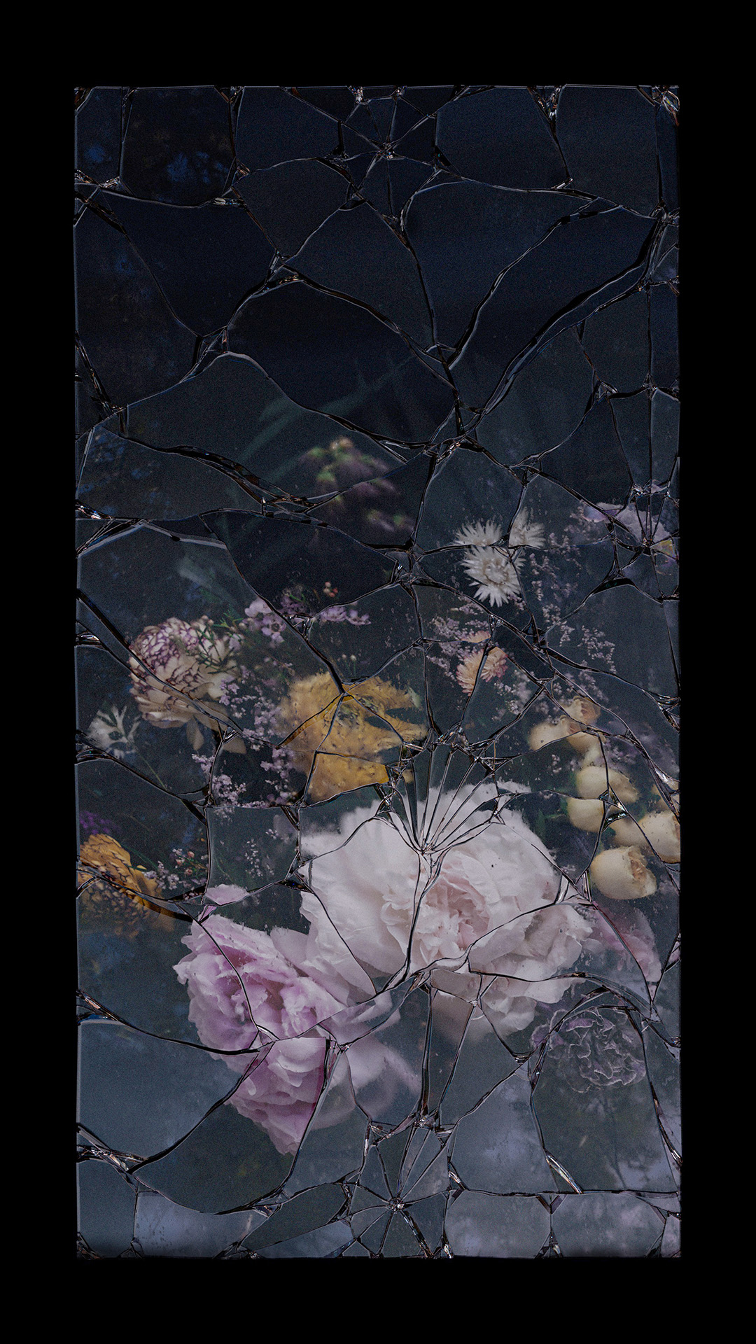 Anthem #1. Edition of 10. Still image in 4k