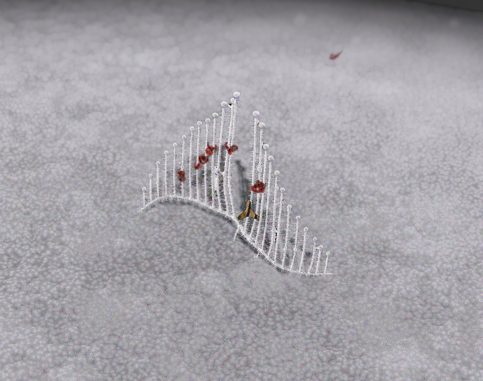 Still from harpfeeder