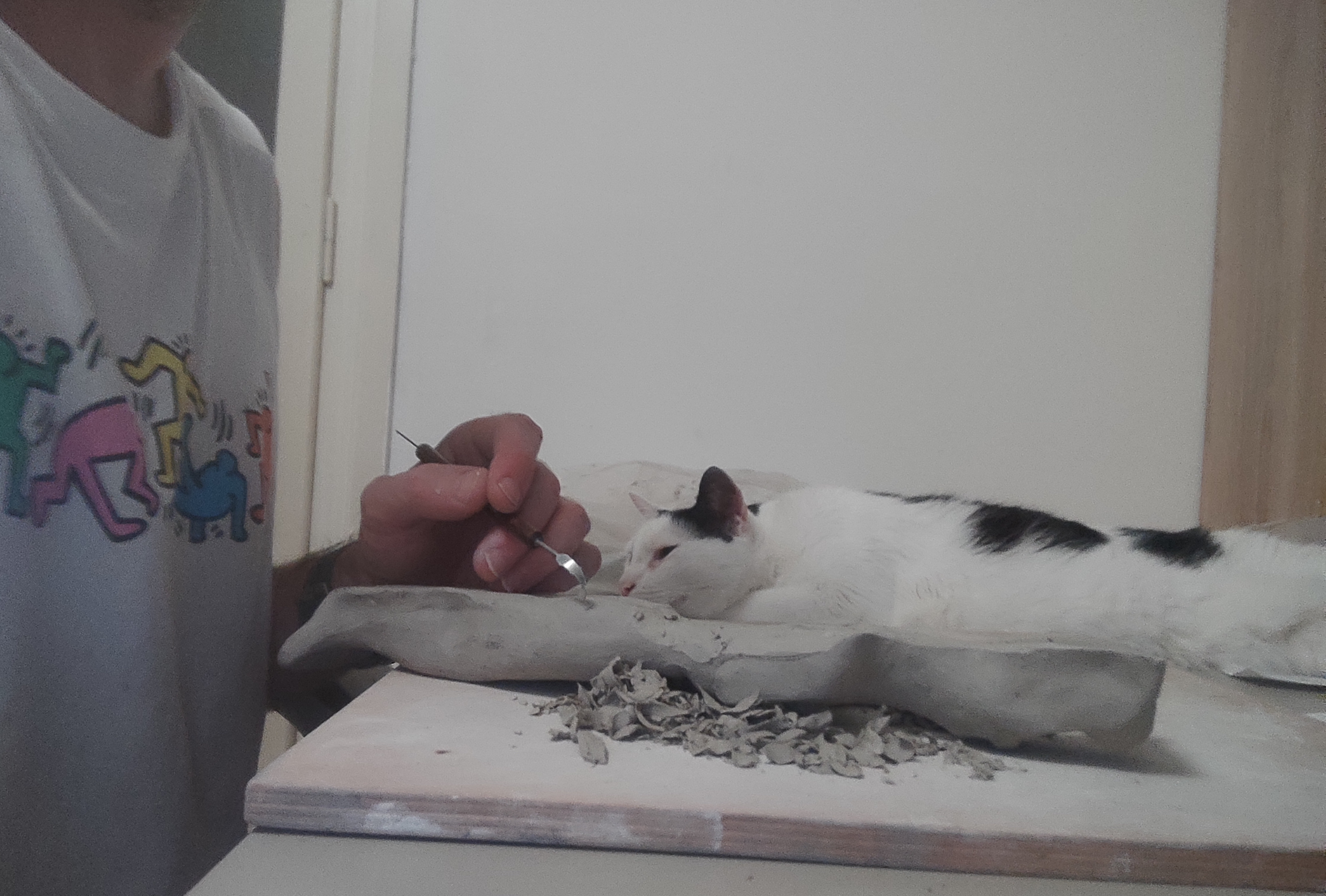 Sculpting the figure to reveal the basic form