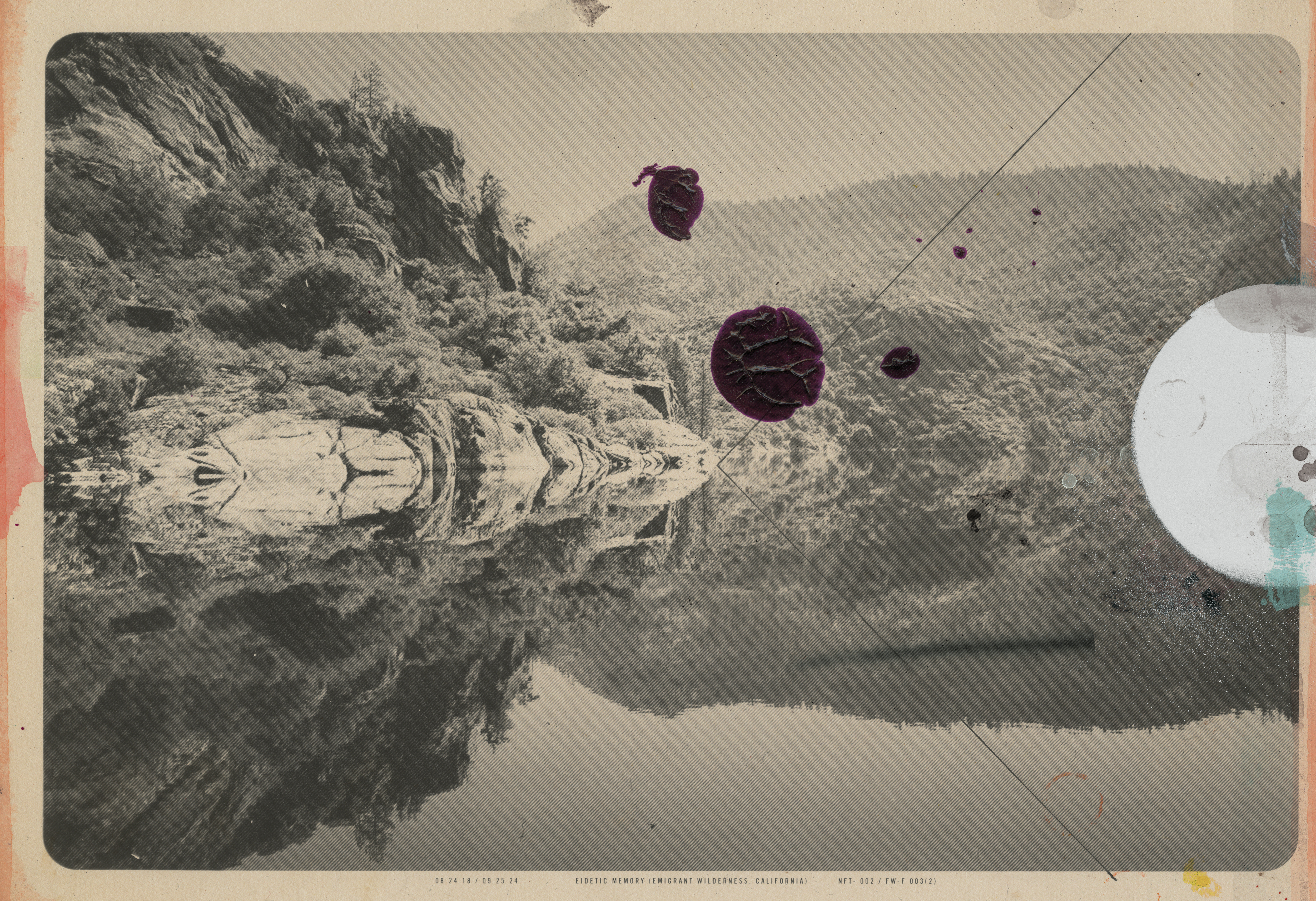 EIDETIC MEMORY by Gary Edward Blum 