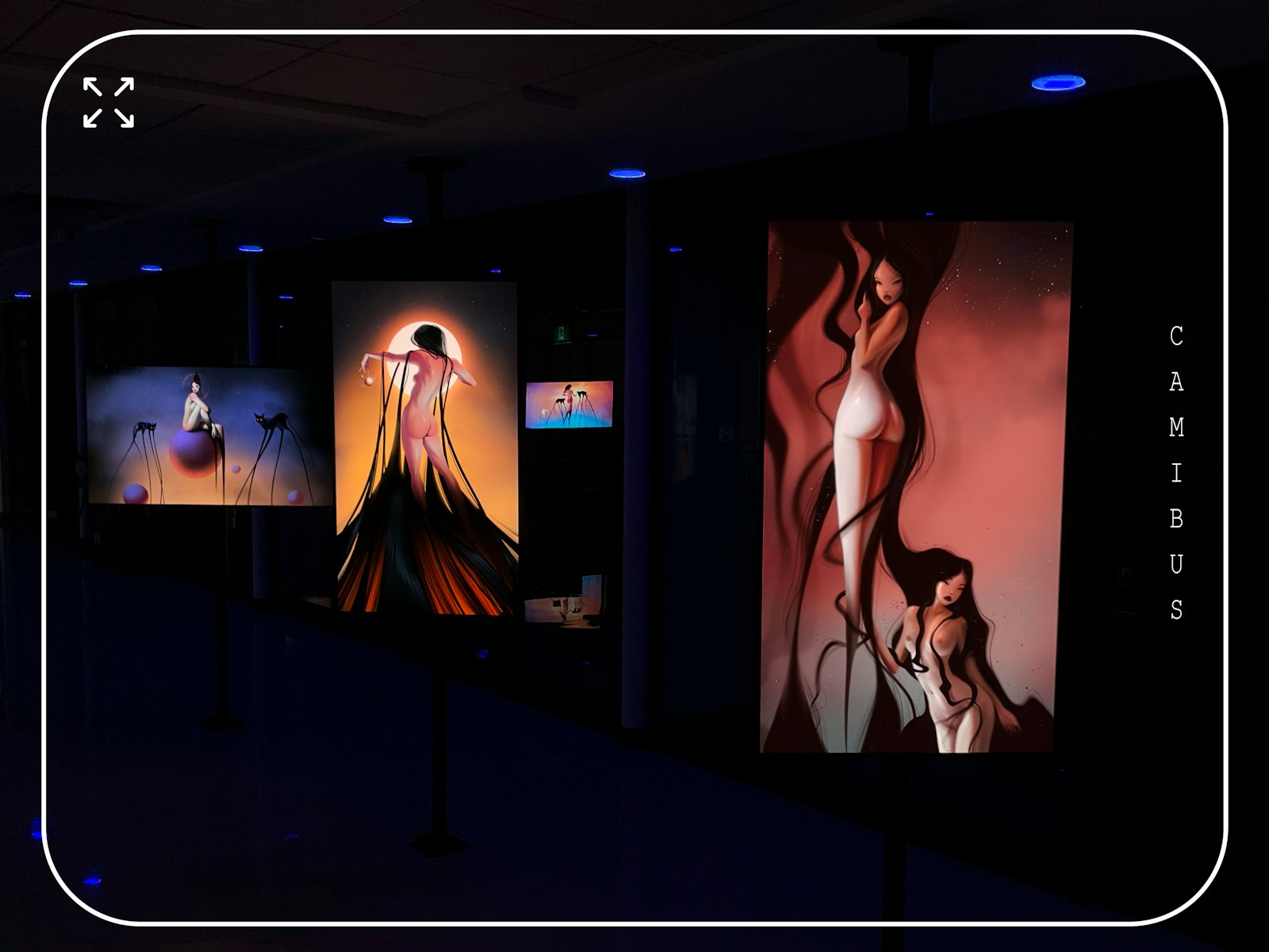 Camibus' Twisted Shadows